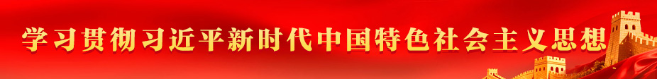 学习贯彻习近平新时代中国特色社会主义思想